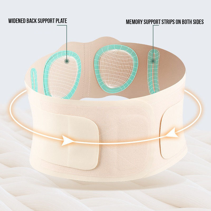Back Support Belt