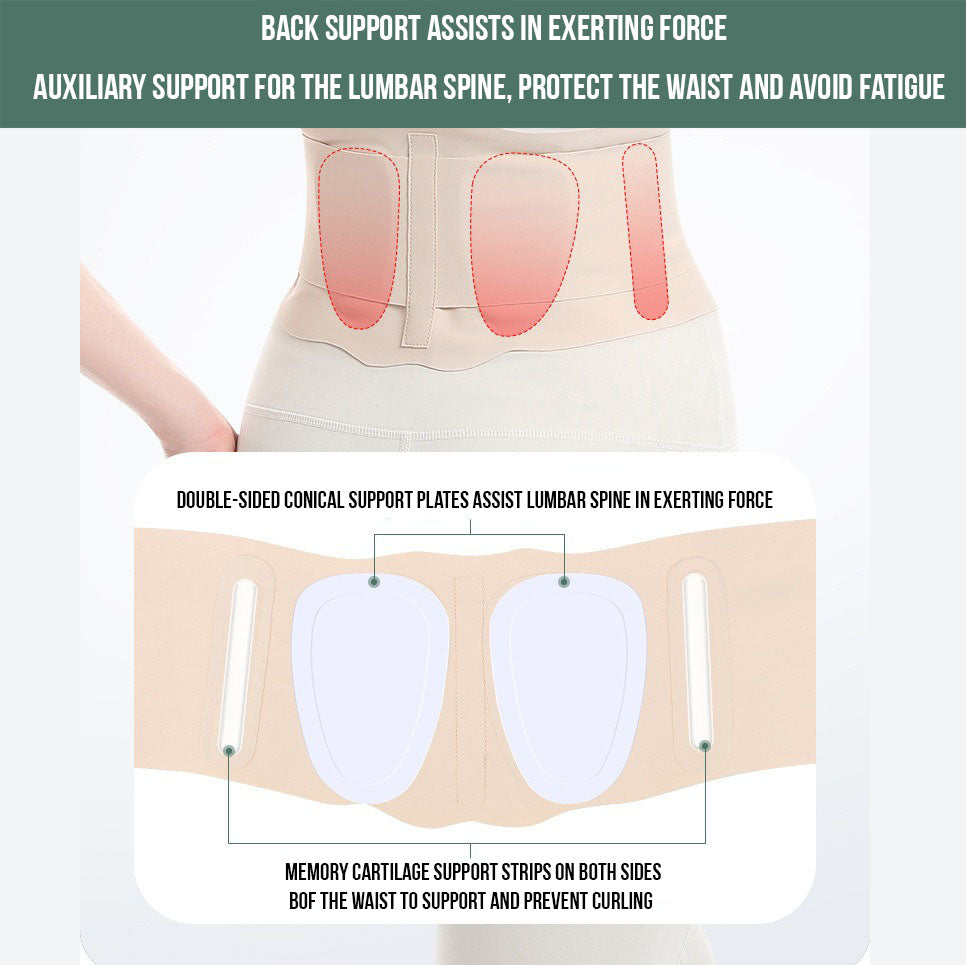 Back Support Belt