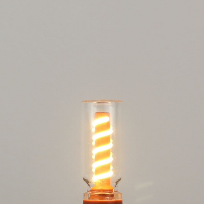 Magnetic Bulb