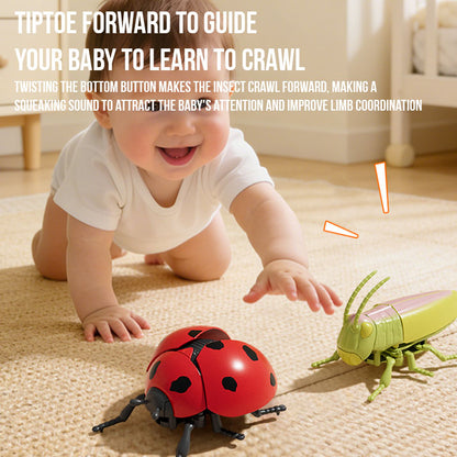 GlowBug Toy