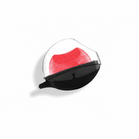 Shimmer Coral