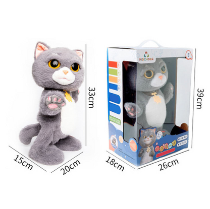 Talkie Cat