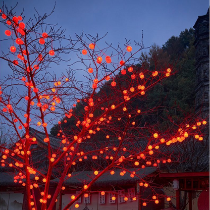 Persimmon Lights