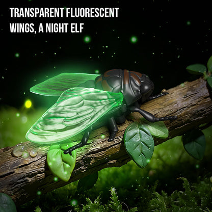 GlowBug Toy