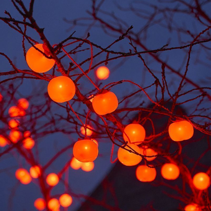 Persimmon Lights