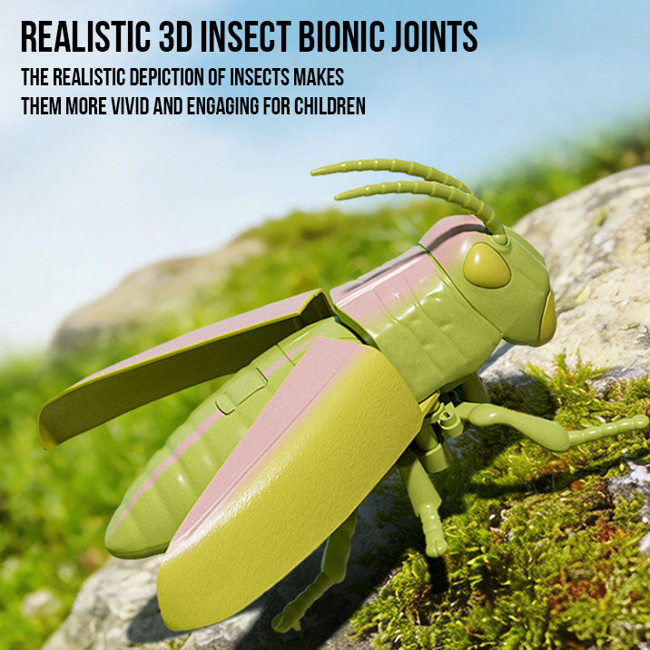 GlowBug Toy