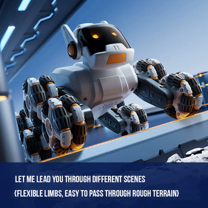 RoboClimber