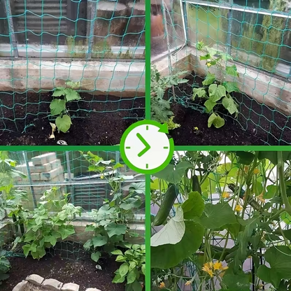 Garden Trellis Net