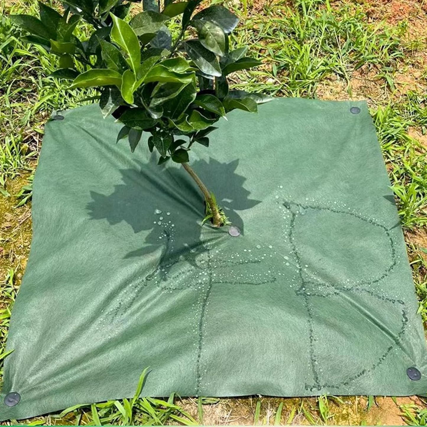 WeedGuard Mat