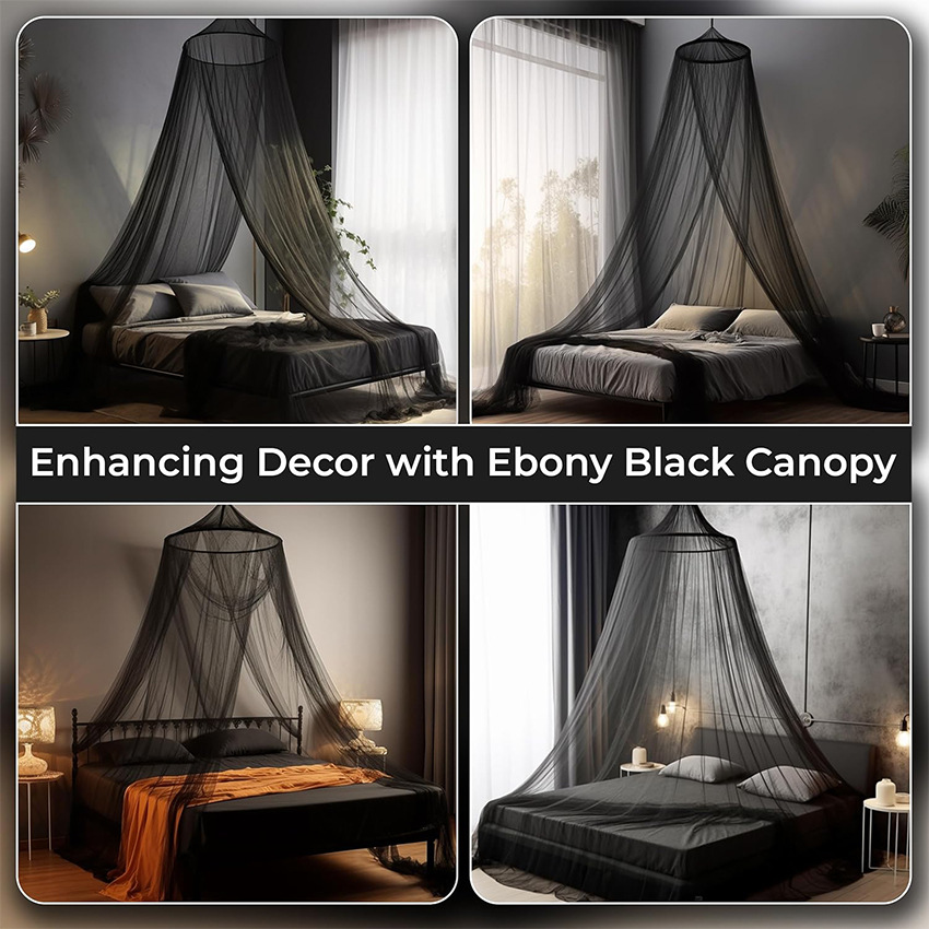 DreamCanopy