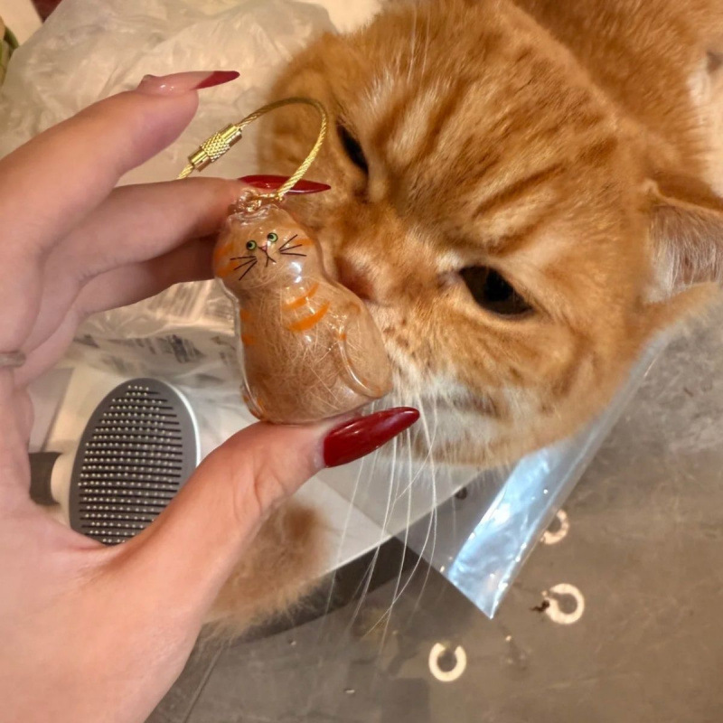 Pet Fur Keychain