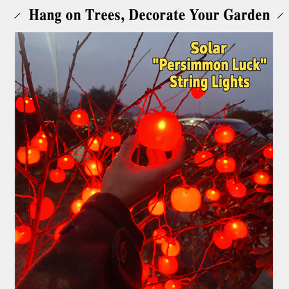 Persimmon Lights