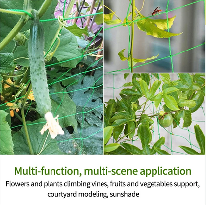 Garden Trellis Net