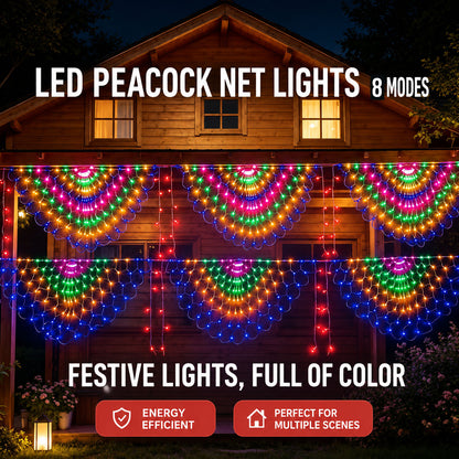 Peacock Glow Lights
