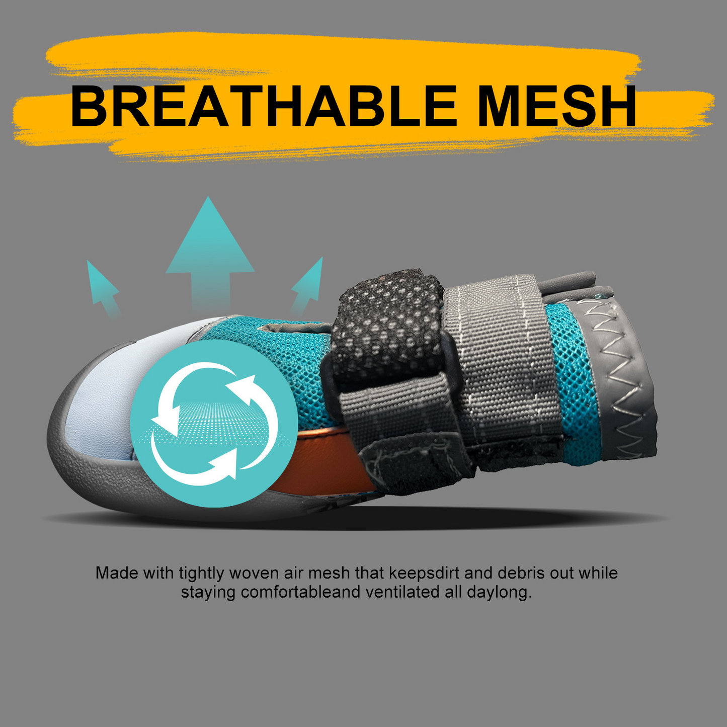 GlowPaw Boots