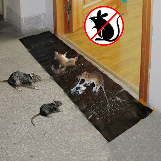 Mega Rat Glue Trap